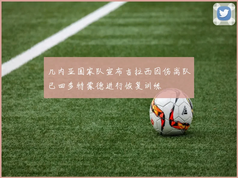 几内亚国家队宣布吉拉西因伤离队已回多特蒙德进行恢复训练