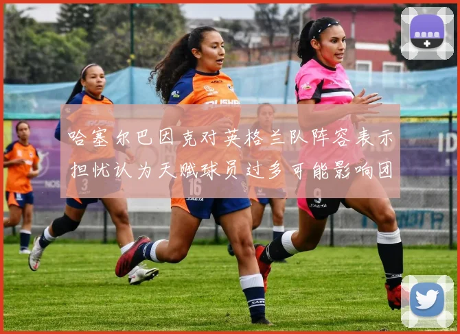 哈塞尔巴因克对英格兰队阵容表示担忧认为天赋球员过多可能影响团队合作