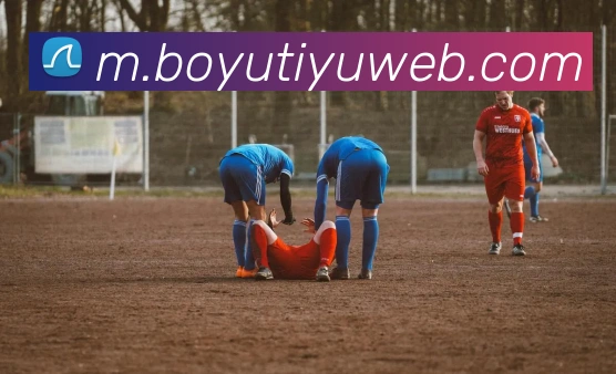 App Interface Preview