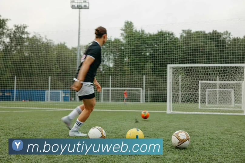 博鱼体育APP 封面图